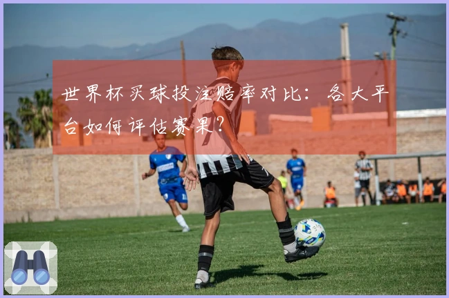 世界杯买球投注赔率对比：各大平台如何评估赛果？