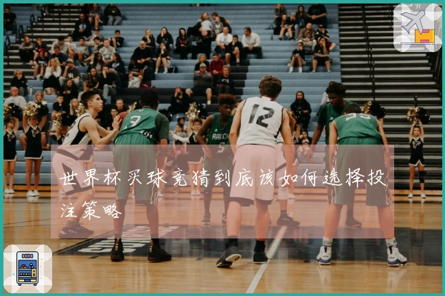 世界杯买球竞猜到底该如何选择投注策略