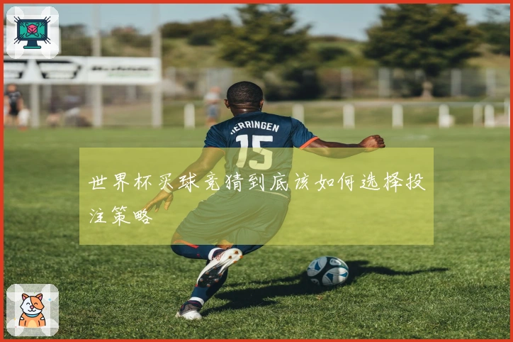 世界杯买球竞猜到底该如何选择投注策略