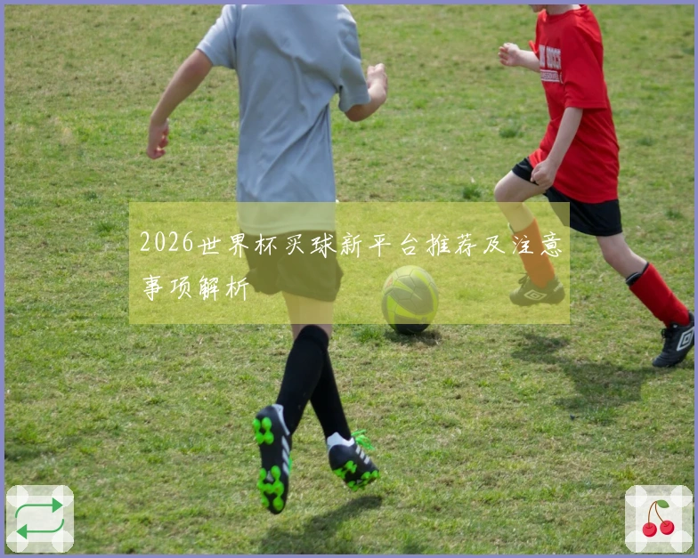 2026世界杯买球新平台推荐及注意事项解析