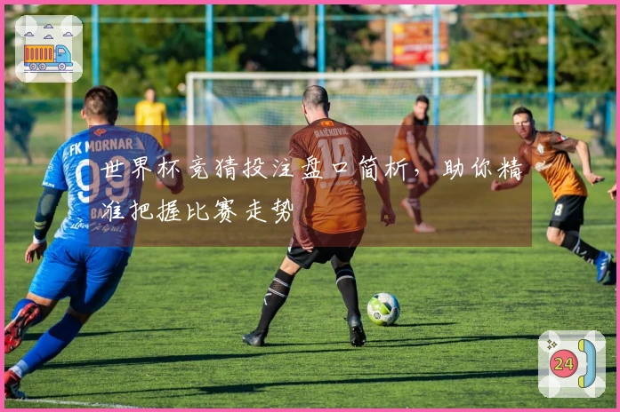 世界杯竞猜投注盘口简析，助你精准把握比赛走势